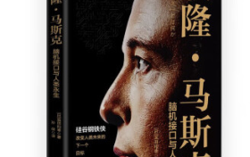 埃隆·马斯克的成功方程式：多维度剖析