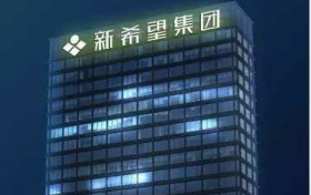 解码新希望：探寻基业长青的秘籍