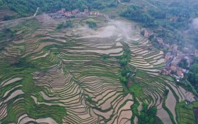 大疆农业与酉阳县签订合作协议，建立数字梯田示范区